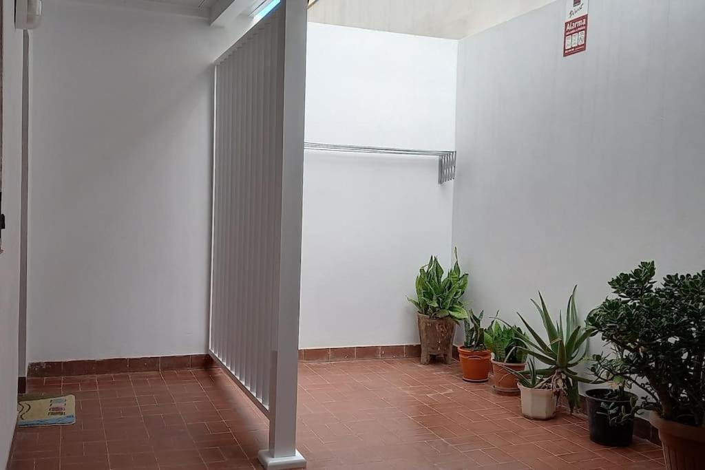 Amplio Apartamento Con Vistas Privilegiadas Garachico  Buitenkant foto